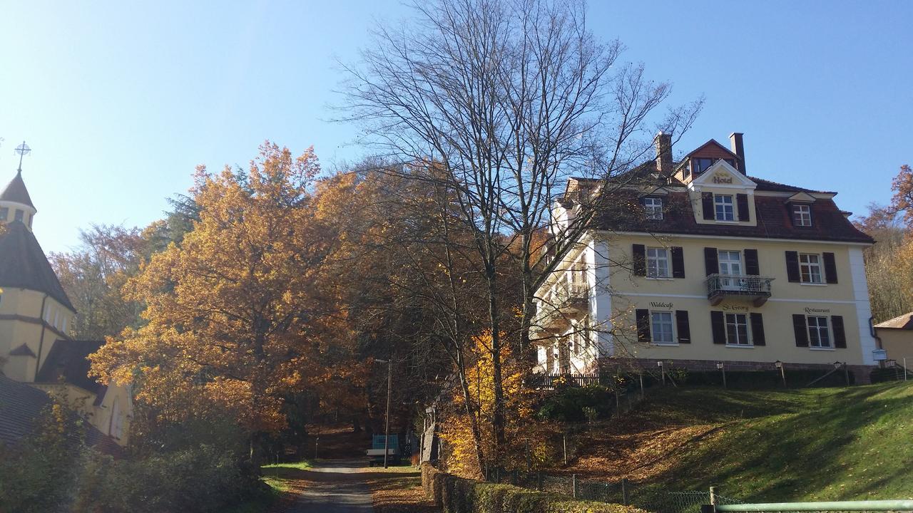 Rhoen Hotel Waldcafe St. Georg シュターツバート・ブリュッケナウ エクステリア 写真