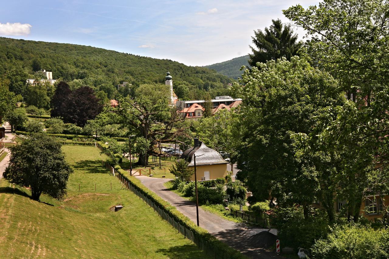 Rhoen Hotel Waldcafe St. Georg シュターツバート・ブリュッケナウ エクステリア 写真