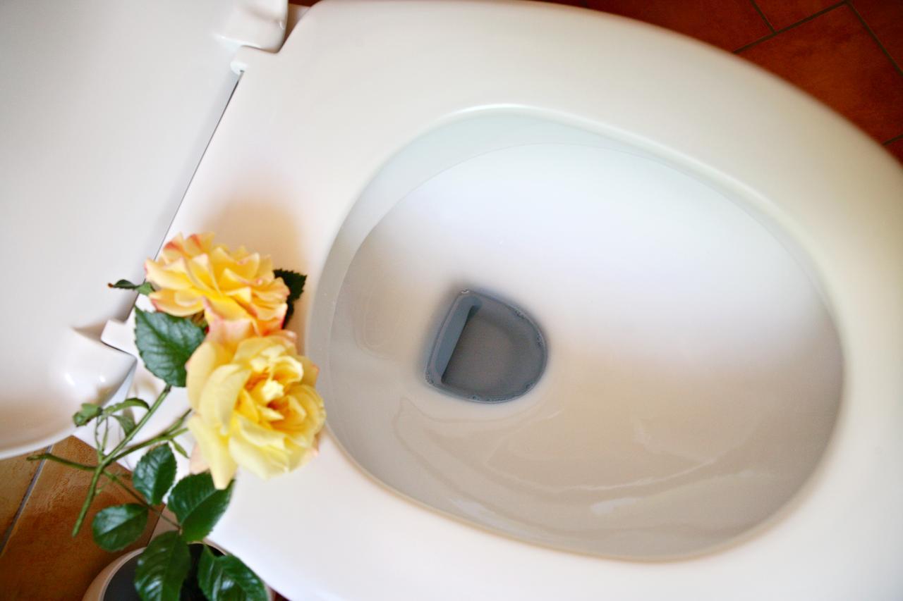 Rhoen Hotel Waldcafe St. Georg シュターツバート・ブリュッケナウ エクステリア 写真